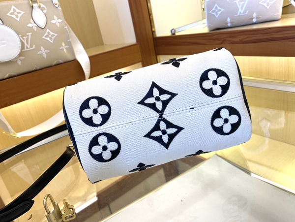 ルイヴィトンバッグ着用イメージ